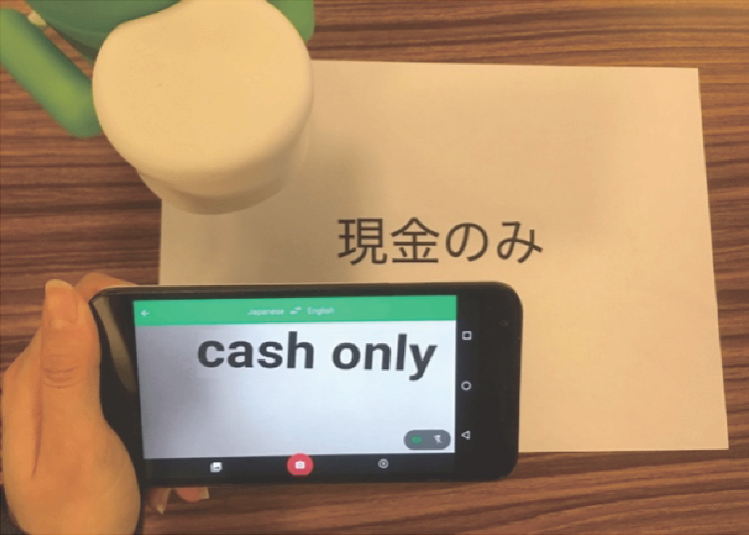 AutoTranslation